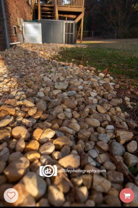 Pine Forest Zen Cottage - 10 Min To Fort Bragg Fayetteville Extérieur photo